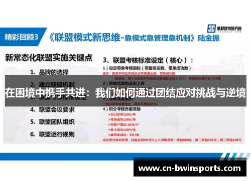 在困境中携手共进：我们如何通过团结应对挑战与逆境